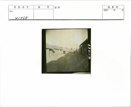 阳光街景行人树木小楼.jpg