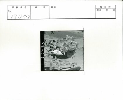 阳光街道满载鸡蔬木车.jpg