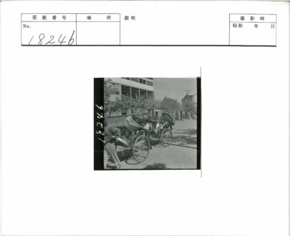 阳光街道黄包车篮子树影建筑.jpg
