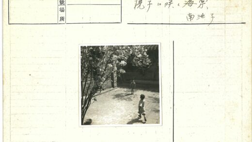 阳光院子里的孩子与盛开树木.jpg