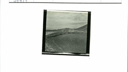 阴云下丘陵田野蜿蜒土路.jpg