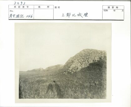 阴天下草地与巨石景观.jpg