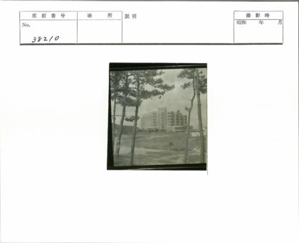 阴天中的多层建筑与自然景观.jpg