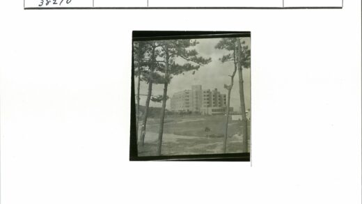 阴天中的多层建筑与自然景观.jpg