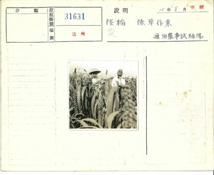 阴天戴帽人站在高植地.jpg