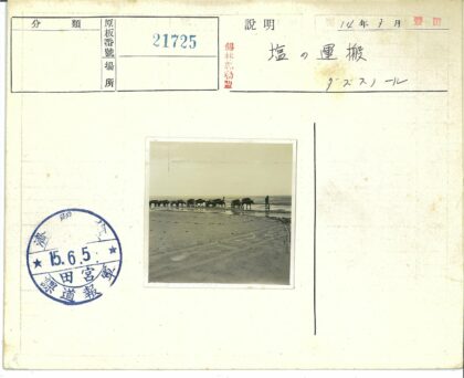 阴天泥泞路上的牛车队伍.jpg