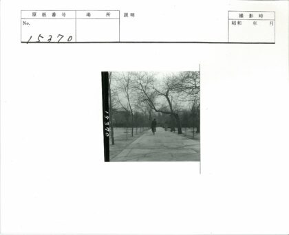 阴天骑行林间小路.jpg