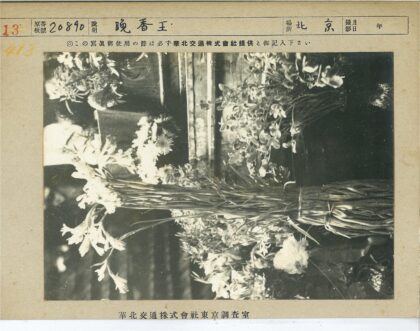 阴影下的花卉盆栽特写.jpg