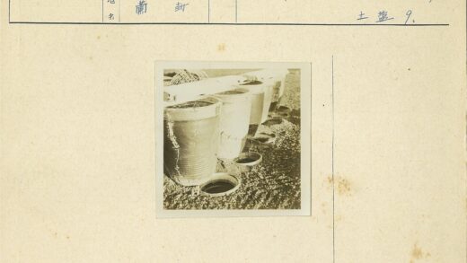 陈旧金属桶与埋地铁物.jpg