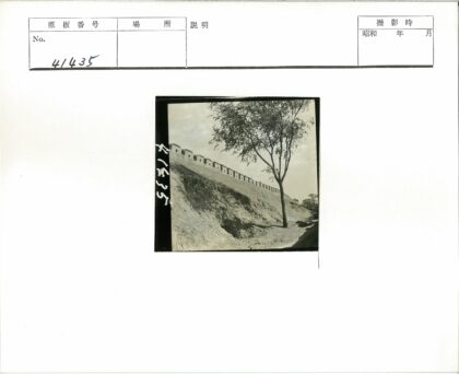 陡峭山丘上的城垛高墙与大树.jpg