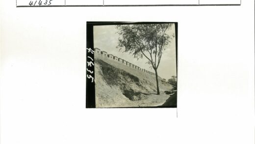 陡峭山丘上的城垛高墙与大树.jpg