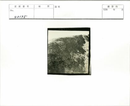 陡峭山坡上的动物吃草.jpg