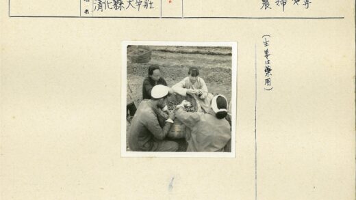 集体劳作收获坚果种子.jpg
