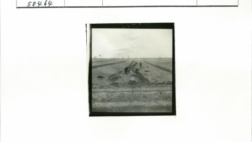 集体耕作开垦土地.jpg