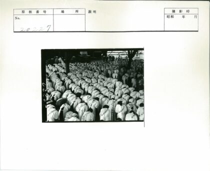 集体鞠躬户外仪式.jpg