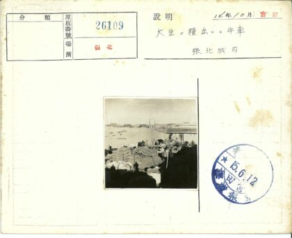 集市牛车麻袋院景.jpg