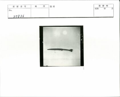 雕花柄匕首水平展示.jpg