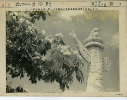 雕花石柱与白花树景.jpg