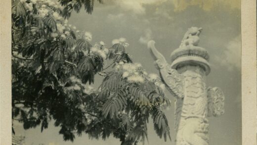 雕花石柱与白花树景.jpg