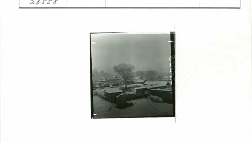 雪中村庄砖房与枯树.jpg