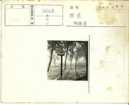 雪中静谧鸟舍.jpg