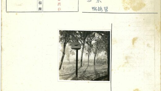 雪中静谧鸟舍.jpg