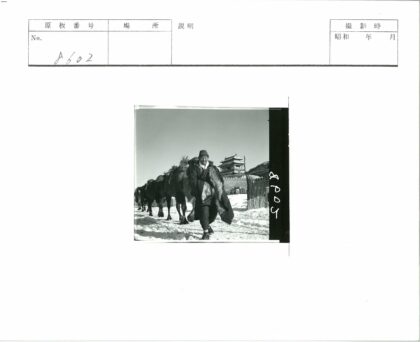 雪中驼队穿行传统建筑.jpg