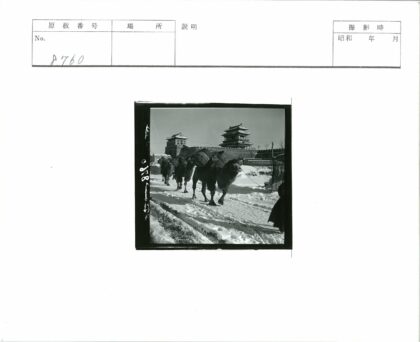 雪中骆驼商队与围墙建筑.jpg