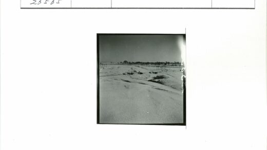 雪原骏马与远树晴空.jpg