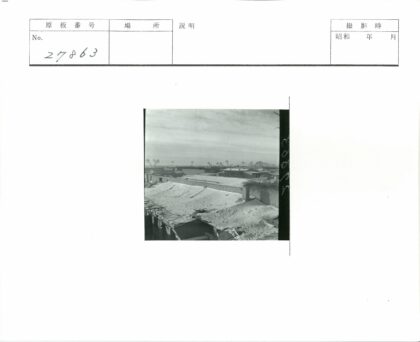 雪后阴天屋顶与远树.jpg