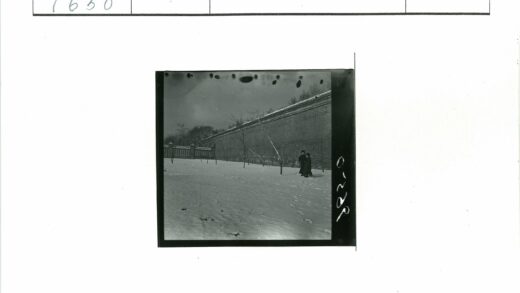 雪地漫步与砖墙树木.jpg