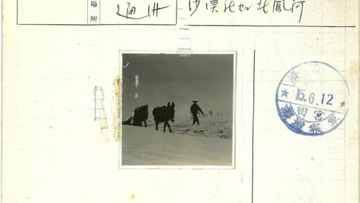 雪地牵骡戴帽人.jpg