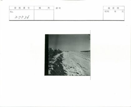 雪地脚印延伸远方.jpg
