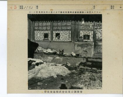 雪地鸡漫步复古建筑前.jpg
