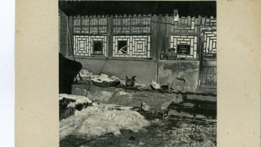 雪地鸡漫步复古建筑前.jpg