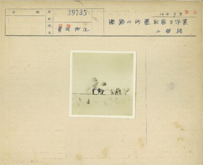 雪山上的雪仗记忆.jpg