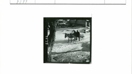 雪村驴车穿行街景.jpg