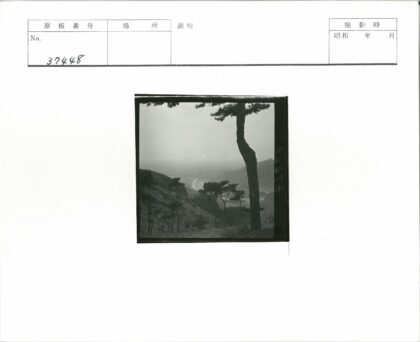 雾中山谷河流风景.jpg