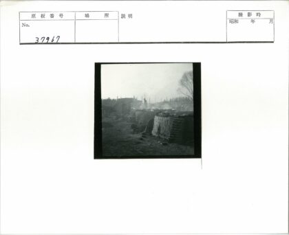 雾中废墟与枯树景观.jpg