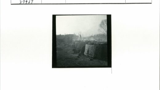 雾中废墟与枯树景观.jpg