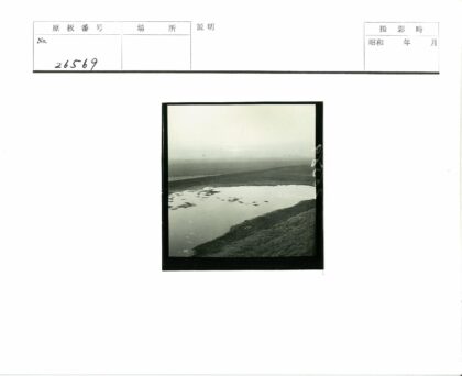 雾中田野水坑草地.jpg