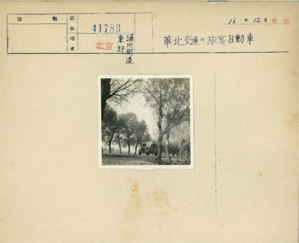雾中老式货车行驶林荫道.jpg