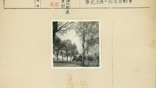 雾中老式货车行驶林荫道.jpg