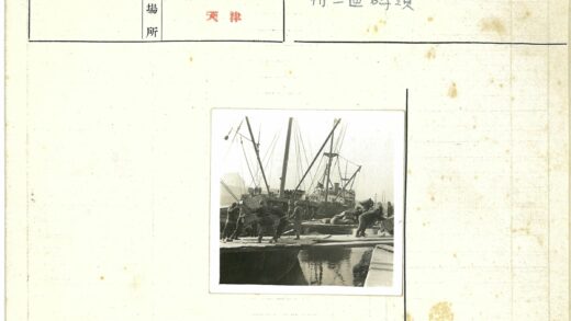 雾天码头繁忙卸货场景.jpg