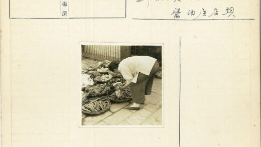 露天市场挑选新鲜蔬菜.jpg
