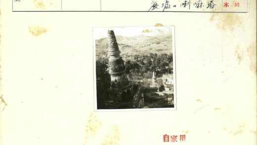 青山古塔风景如画.jpg