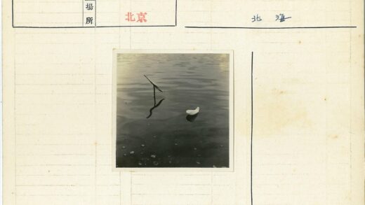 静水白羽与金属倒影.jpg