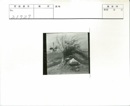 风化十字架与荒野石景.jpg