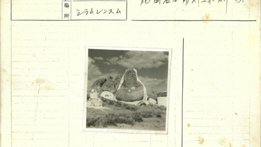 风化岩巨人矗立荒野.jpg