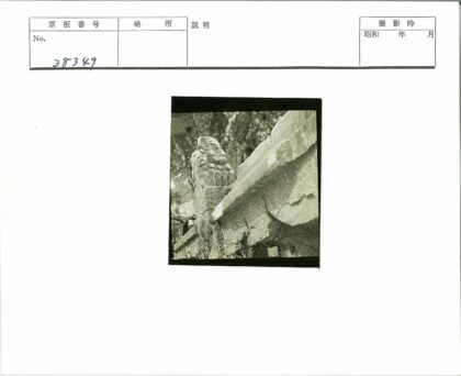 风化岩石上的石狮雕塑.jpg